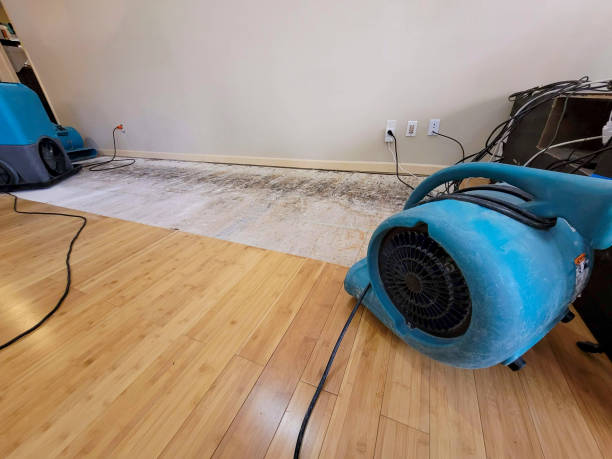 Professional Water Damage Repair technician working in Seminary, MS